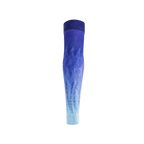 Floky Manga No Strain Evolution Ice Comet